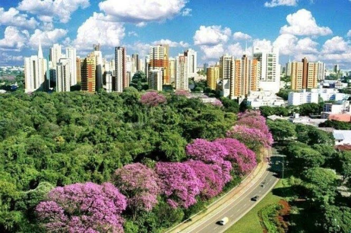 Certificado Digital em Maringá - PR é com a Boabase